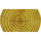 Treated pine slab