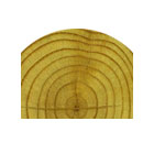 Treated pine winged split