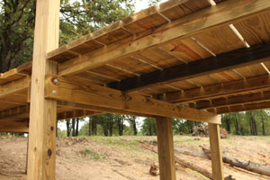 Treated pine