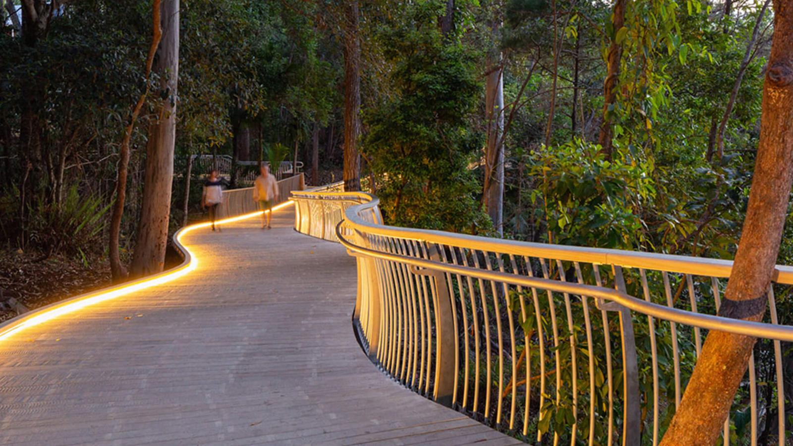 Accoya timber boardwalk winding through a forest at dusk