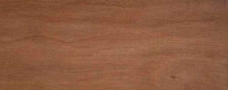 Brush Box timber grain
