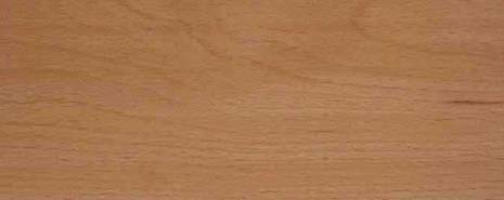 European Beech timber grain