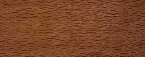 Northern Silky Oak timber grain