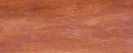 Rose Gum (Flooded Gum) timber grain