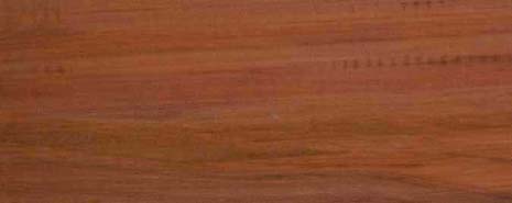 Tasmanian Myrtle timber grain