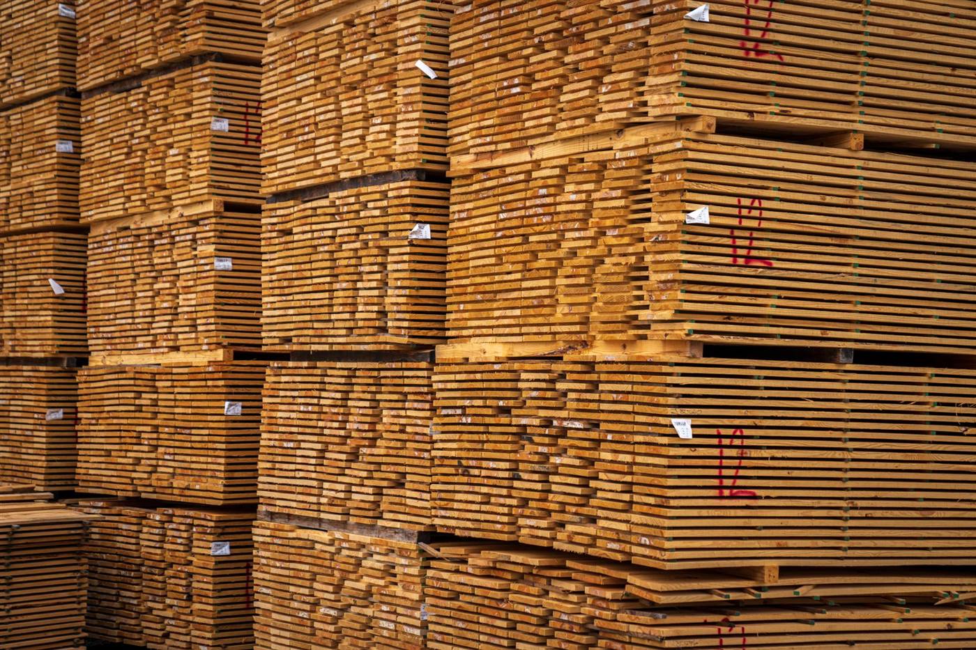 Packs of sawn structural timber stacked in a timber yard