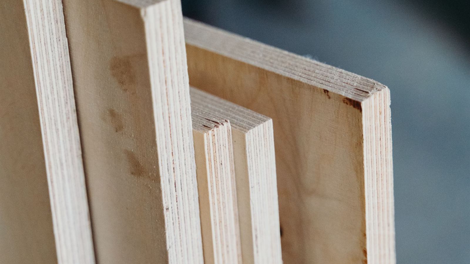 Plywood sheets on edge showing the layered plies