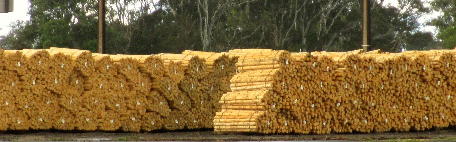 Stacks of treated pine fence posts at a timber yard